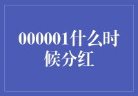 A股上市公司：何时分红？——股东权益与企业发展的平衡之道