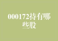 000172到底持有什么股？咱们一起来揭秘！