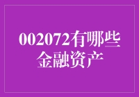 002072究竟拥有哪些金融资产？