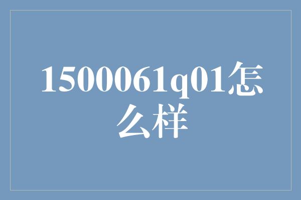 1500061q01怎么样