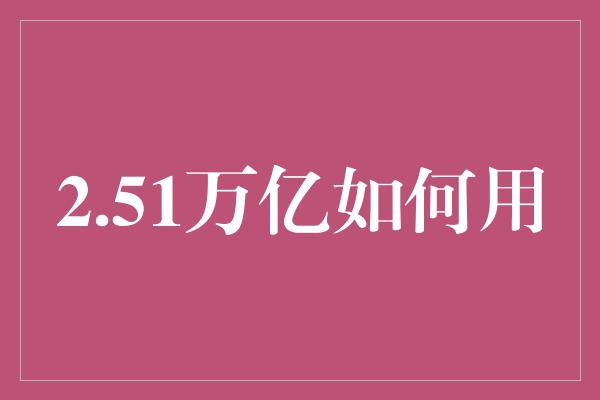 2.51万亿如何用