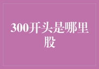 300开头的是哪里股？揭秘股票代码背后的秘密！