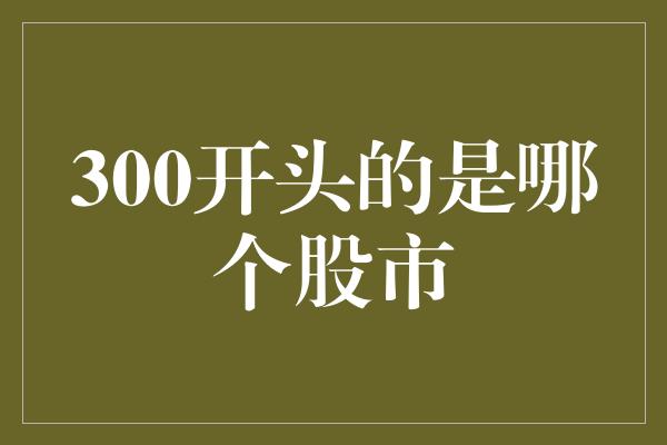 300开头的是哪个股市