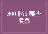 300非银：哪些股票值得关注？