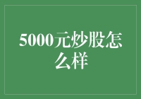 5000元炒股：用小额资金探索股市的奥秘