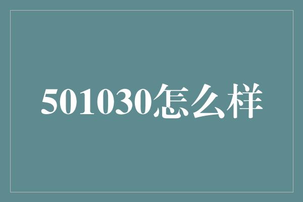 501030怎么样