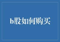 玩转股市：教你用最风趣的方式购买B股