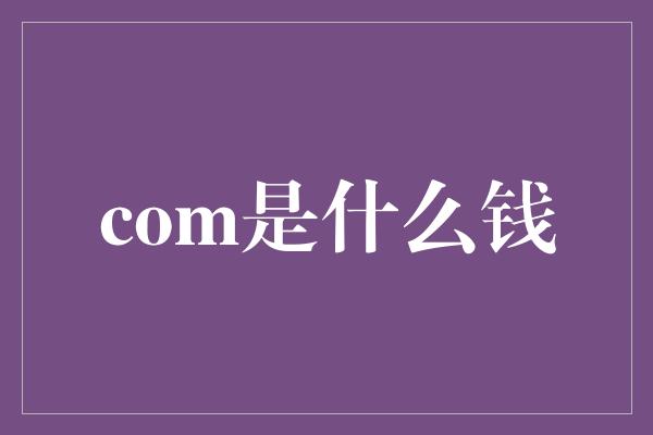 com是什么钱