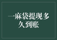 一麻袋提现多久到账：快测子模型与资金流动效率研究