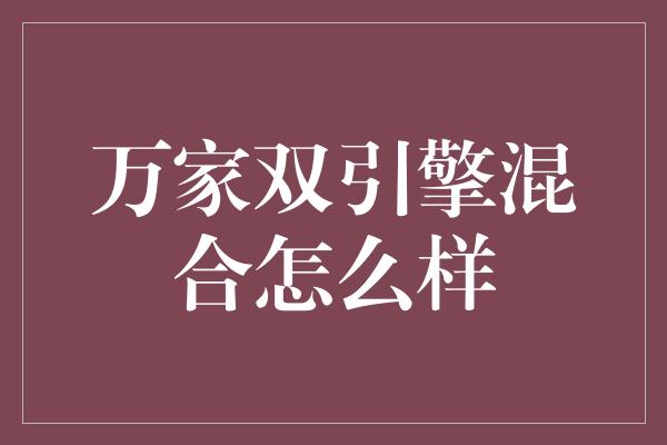 万家双引擎混合怎么样