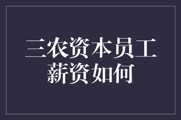 三农资本员工薪资如何