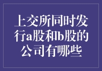 上海证券交易所同时发行A股和B股的公司解析与投资价值分析