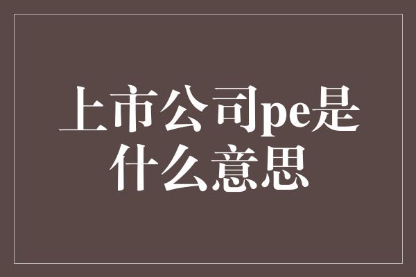 上市公司pe是什么意思