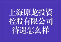 上海原龙投资控股有限公司福利待遇分析与展望