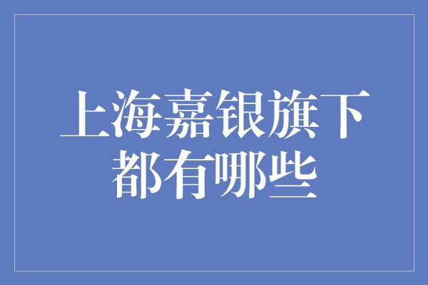 上海嘉银旗下都有哪些