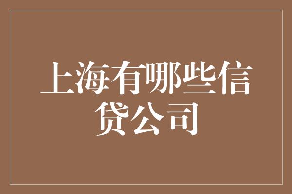 上海有哪些信贷公司