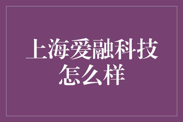 上海爱融科技怎么样