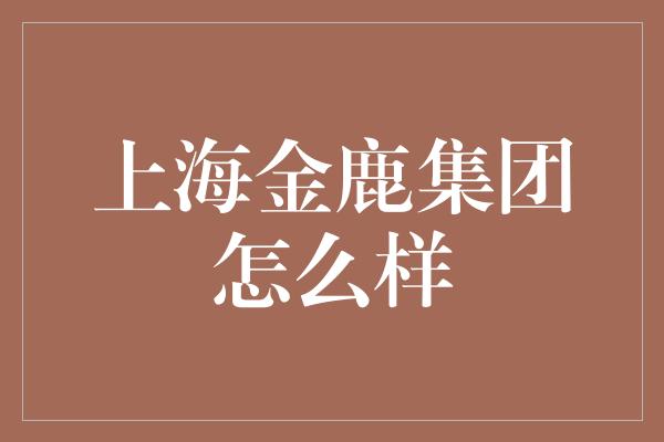 上海金鹿集团怎么样