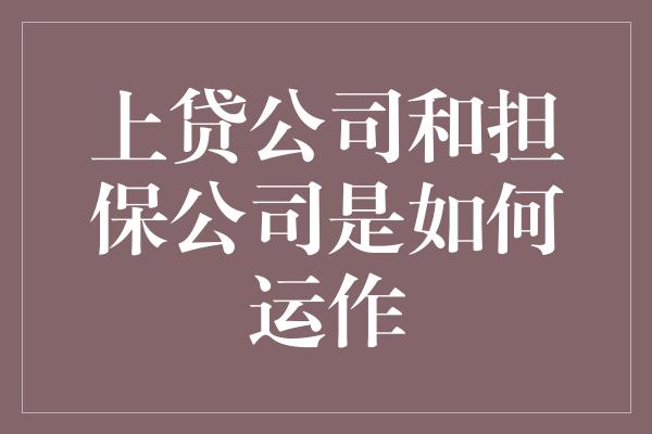 上贷公司和担保公司是如何运作