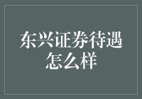 东兴证券：金融行业的新锐力量与理想起点