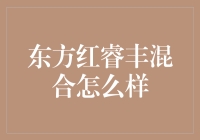 东方红睿丰混合型基金：投资策略与市场表现分析