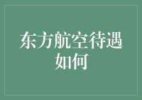 东方航空待遇如何？带你揭秘飞行员的飞行生活！