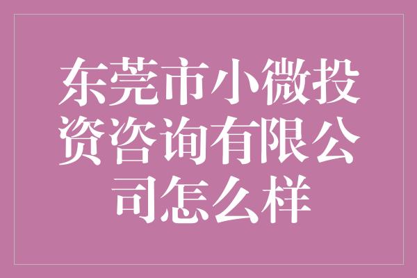 东莞市小微投资咨询有限公司怎么样