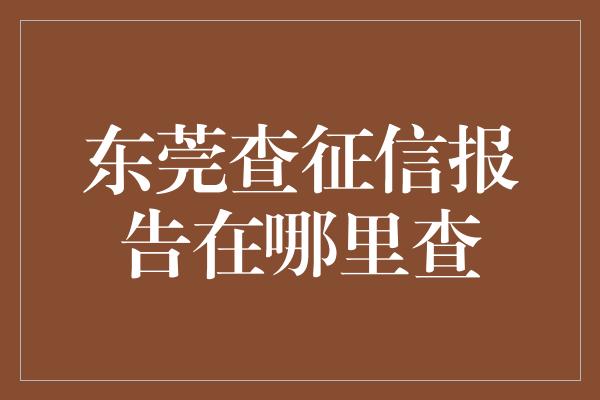 东莞查征信报告在哪里查