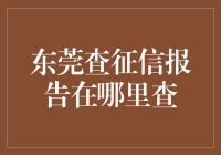 当征信报告遇见东莞特色：揭秘东莞查征信报告指南