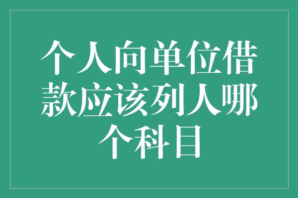 个人向单位借款应该列人哪个科目