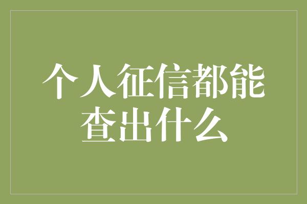 个人征信都能查出什么