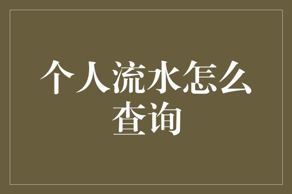 个人流水怎么查询