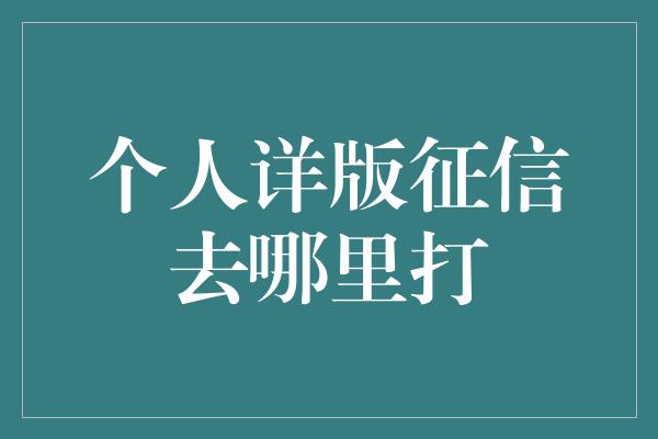 个人详版征信去哪里打