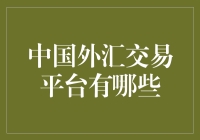 中国外汇交易平台的多元化选择与风险警示