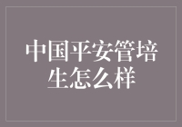 中国平安管培生怎么样