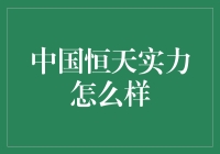 中国恒天：恒续未来，天马行空的实力派