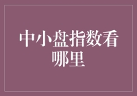 中小盘指数：一场神秘的探险之旅