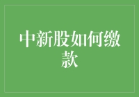 中新股如何缴款：从注册到打新的全流程解析