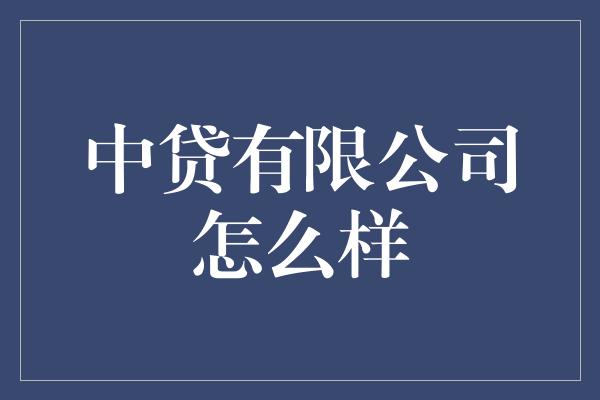 中贷有限公司怎么样