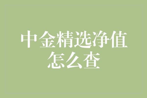 中金精选净值怎么查