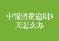 中银消费逾期3天的应对策略与注意事项