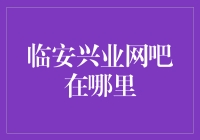 临安兴业网吧：从虚拟世界到现实生活的冒险