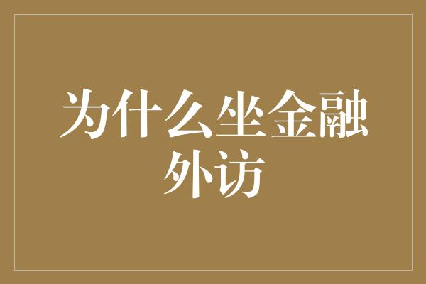 为什么坐金融外访