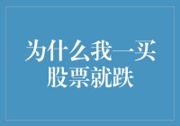 为什么我一买股票就跌——如何建立正确的股市投资心态