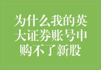 为什么我的英大证券账号申购不了新股：解析与解决指南