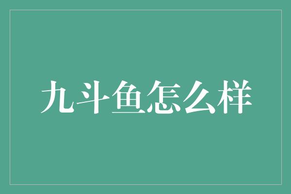 九斗鱼怎么样