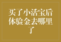 买了小活宝后，我的金子去哪儿了？