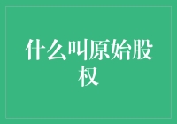 什么叫原始股权：公司治理的基石与股东权益的来源