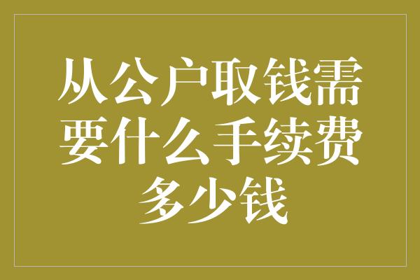 从公户取钱需要什么手续费多少钱