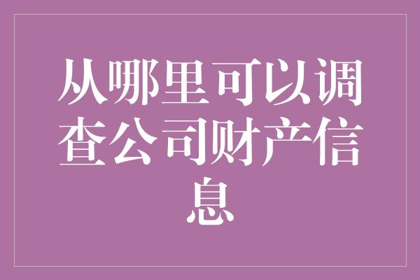 从哪里可以调查公司财产信息